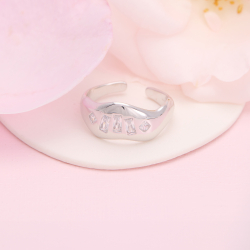 Dina ring