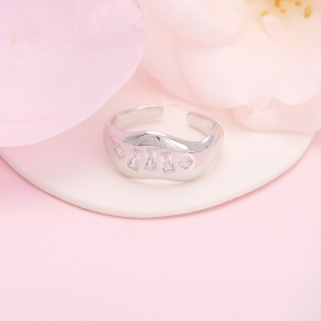 Dina ring