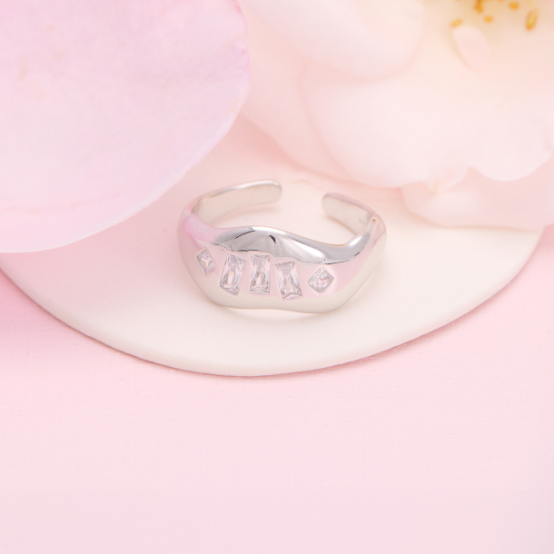 Dina ring