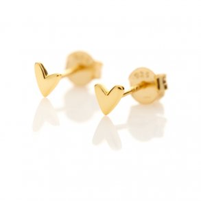 Heart ear studs