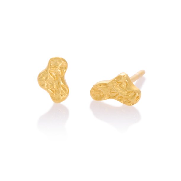 Delfi ear studs