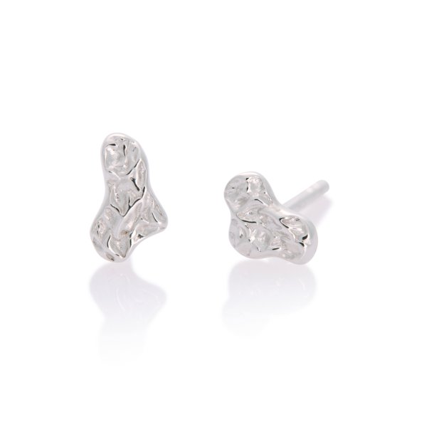 Delfi ear studs